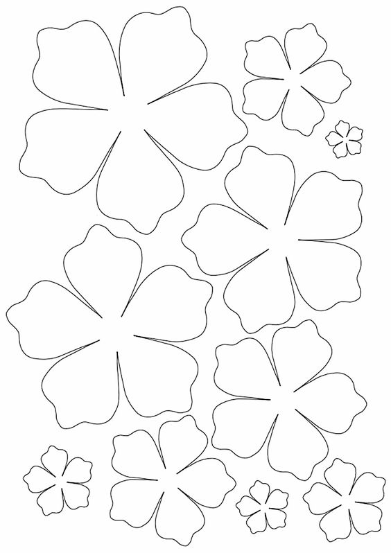 molde de flor de papel