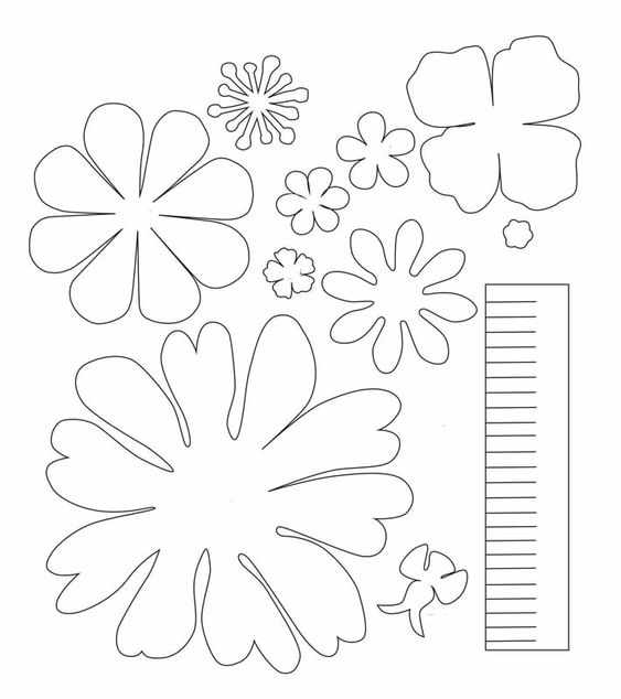 Featured image of post Molde De Flores E Folhas Para Imprimir As gigantes podem produzir uma flor de aproximadamente de 35cm a 40cm mas depende da constru o