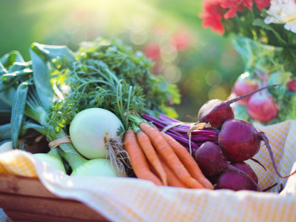 conservar verduras por mais tempo na geladeira