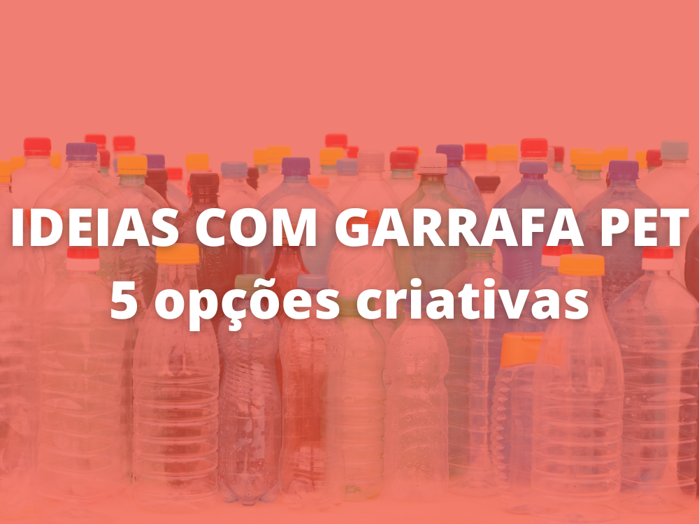 ideias com garrafa pet