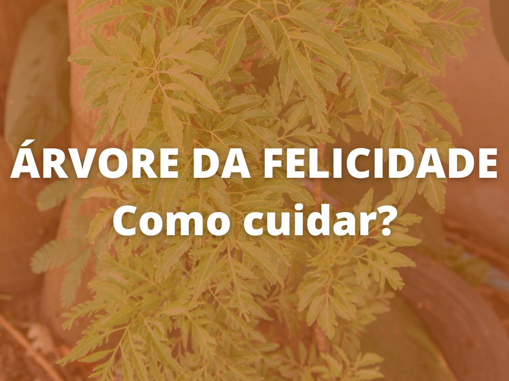 árvore da felicidade