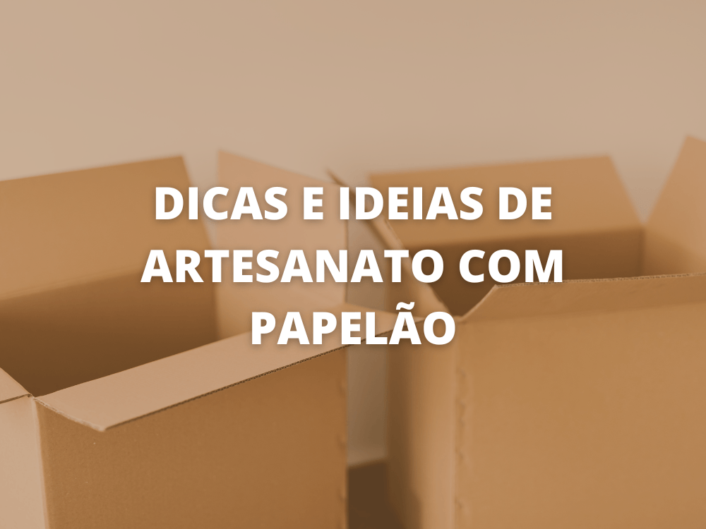 artesanato com papelão