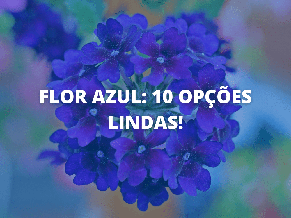 Flor Azul