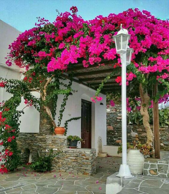 Pergolado de Madeira com Flores